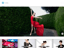 Tablet Screenshot of loosfly.com